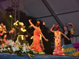 Festival de Folkore en Mula